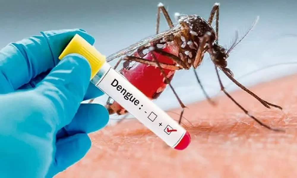 Dengue And COVID-19: What Happens When You Catch Both At The Same Time?